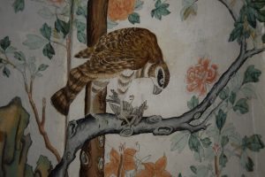 nel boudoir: uccelli... uno più bello dell'altro
