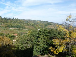 082-Le colline di Saluzzo 