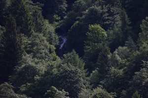 005-una cascata nei boschi circostanti