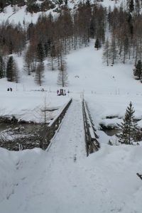 033- un ponte tra la neve